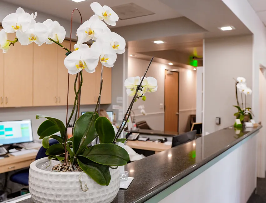 Welcoming front desk at West Hollywood Dental Studio